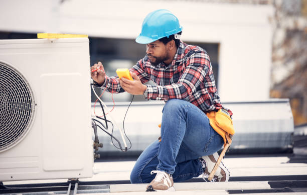 Best Electric Panel Repair  in Centralia, IL